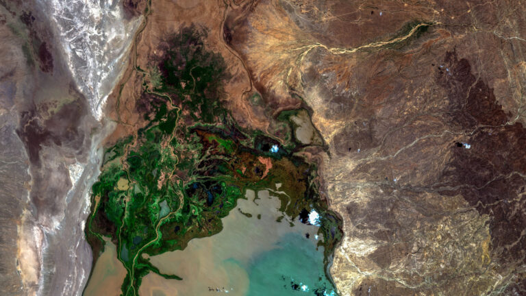 jezero Turkana: ústí řeky Omo