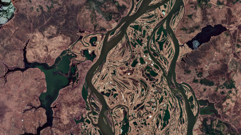 Amur